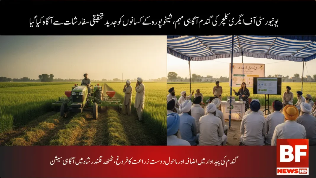 گندم کی پیداوار میں اضافہ اور ماحول دوست زراعت کا فروغ، ٹھٹھہ قلندر شاہ میں آگاہی سیشن