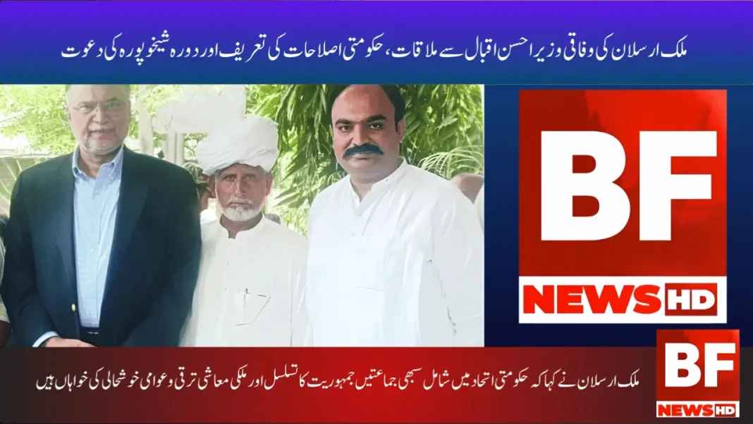 ملک ارسلان کی وفاقی وزیر احسن اقبال سے ملاقات، حکومتی اصلاحات