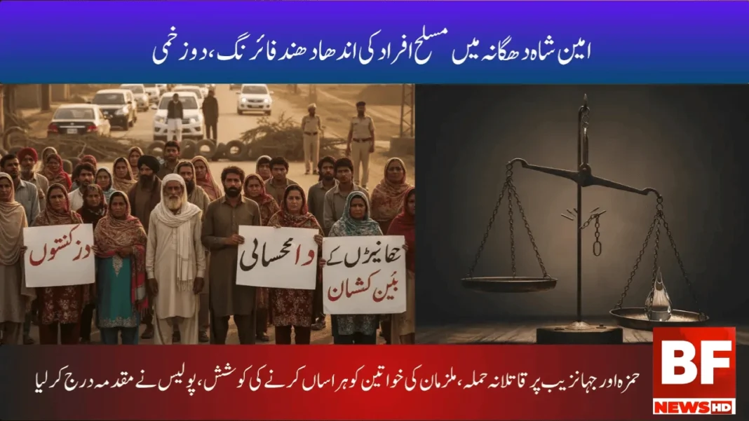 حمزہ اور جہانزیب پر قاتلانہ حملہ، ملزمان کی خواتین کو ہراساں کرنے کی کوشش، پولیس نے مقدمہ درج کر لیا