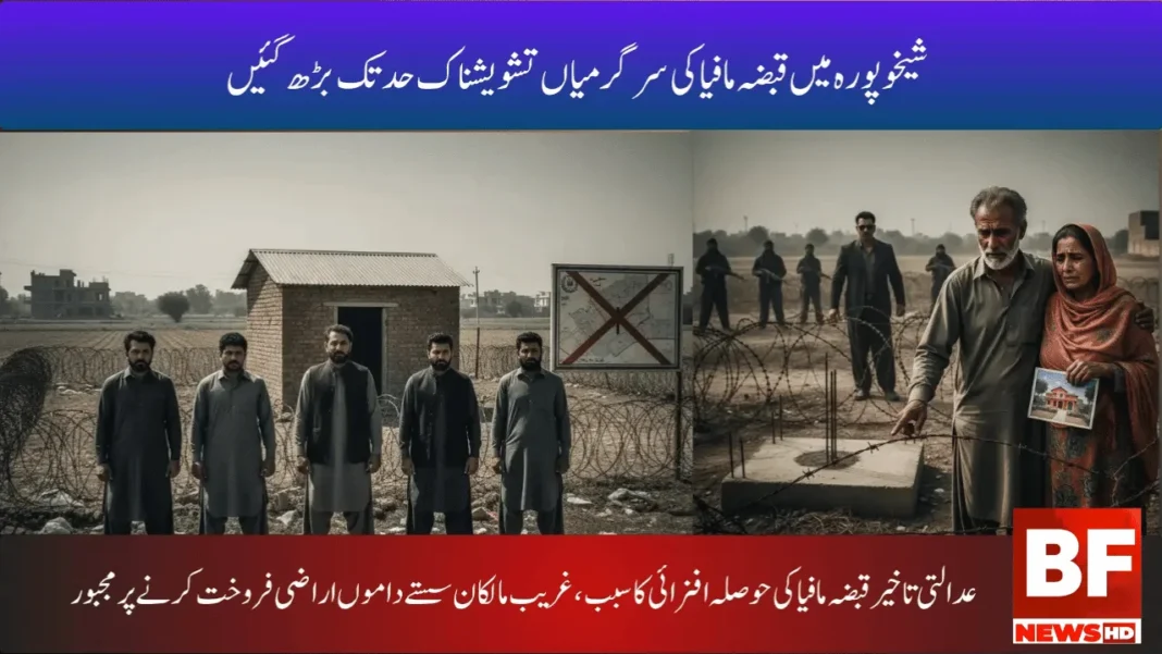 شیخوپورہ میں قبضہ مافیا کی سرگرمیاں تشویشناک حد تک بڑھ گئیں