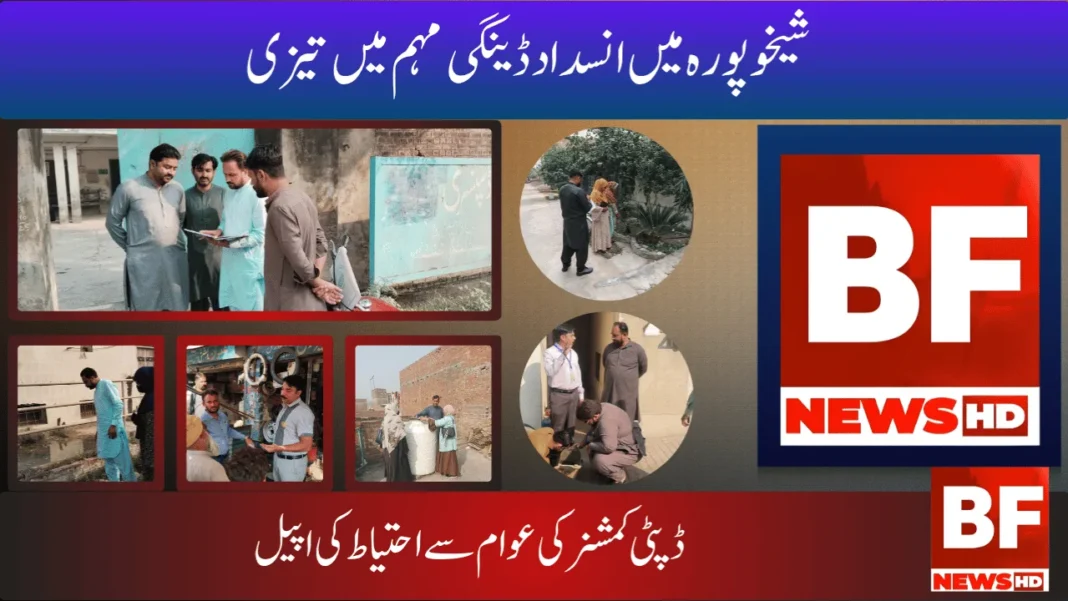 شیخوپورہ میں انسداد ڈینگی مہم میں تیزی: ڈپٹی کمشنر کی عوام سے احتیاط